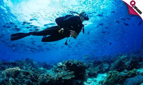 Scuba Diving Trial Session at Sealine!